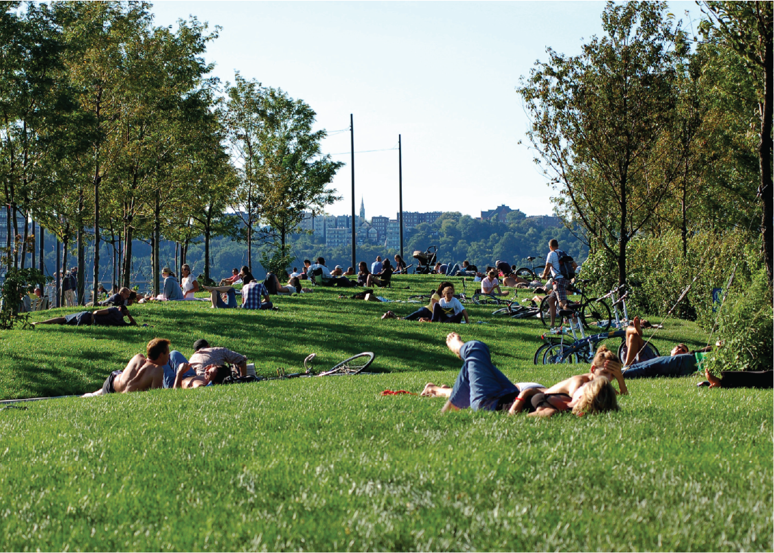 SLOPED / BERMED LAWN